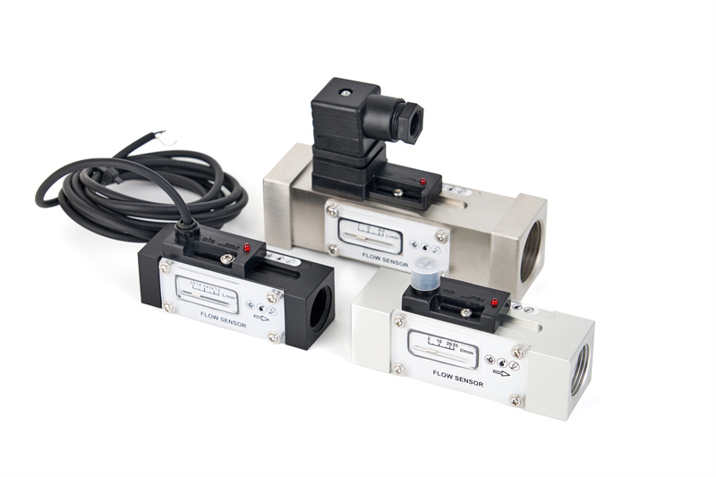 F02显示型活塞式流量开关